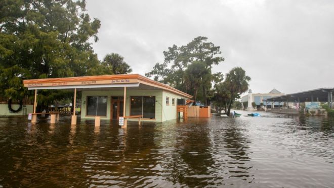 Кафе Cooter Stew Cafe в Сент-Марксе, Флорида, стало одной из первых жертв штормового нагона