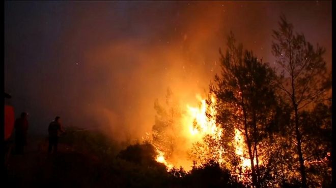 Fires raging through Greek forests at night