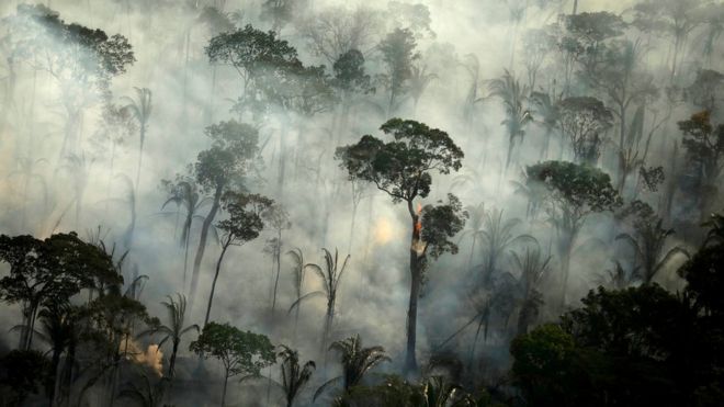 Smoke billows from a fire in an area of the Amazon rainforest