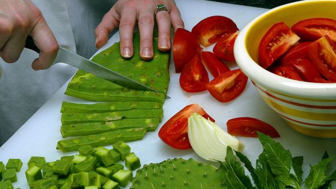 Una persona prepara nopales