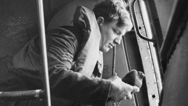 Liberando paloma mensajera desde un avión, 1941