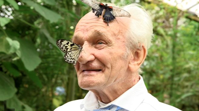 Томми Хаган в саду бабочек