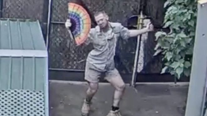 Dancing zookeeper waves a fan around during a livestream at Melbourne Zoo