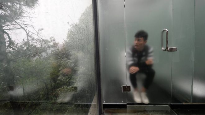 Человек сидит на унитазе, за дверью из слегка матового стекла, смотрит на лес снаружи. Чанша, Китай, 29 сентября 2016 года.