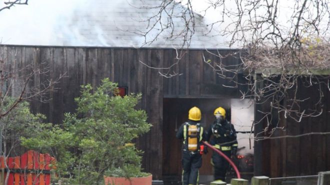 Пожарные борются с пламенем в лондонском зоопарке