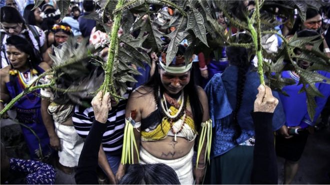 Une femme est purifiée avec des orties avant une cérémonie à Puyo, en Équateur.