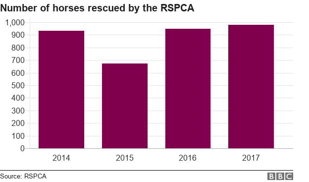 Диаграмма, показывающая количество лошадей, спасенных RSPCA