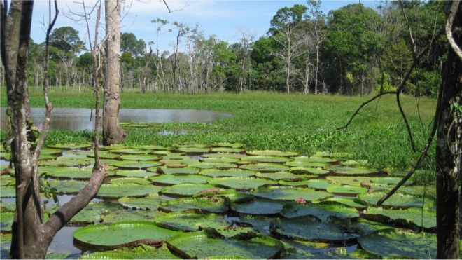 Бассейн Амазонки - самая большая и сложная речная система в мире