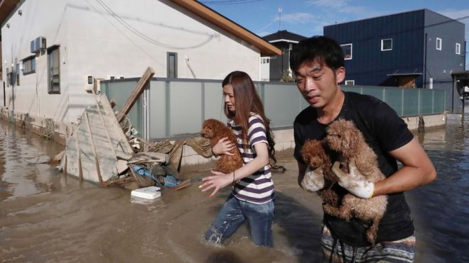 Жители спасают собак из затопленной местности в Курашики, префектура Окаяма, 8 июля 2018 года