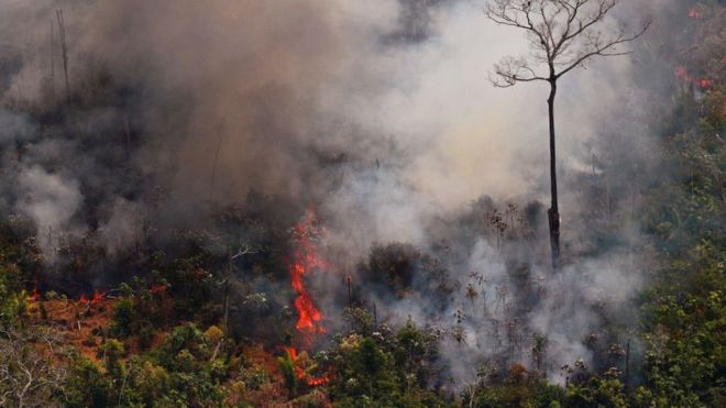 incendios en la Amazonía