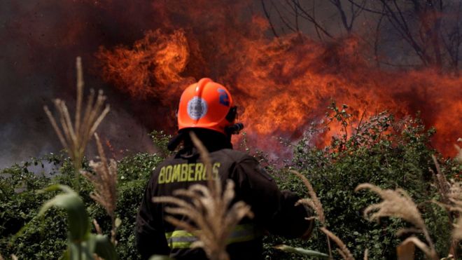 Bombero frente a enormes llamas en un bosque.