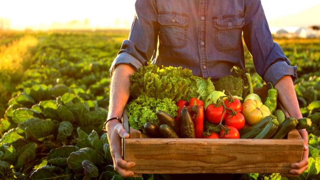 Hombre llevando una caja de madera con verduras.