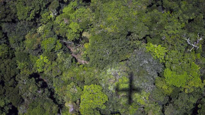 Вид с воздуха на тропический лес