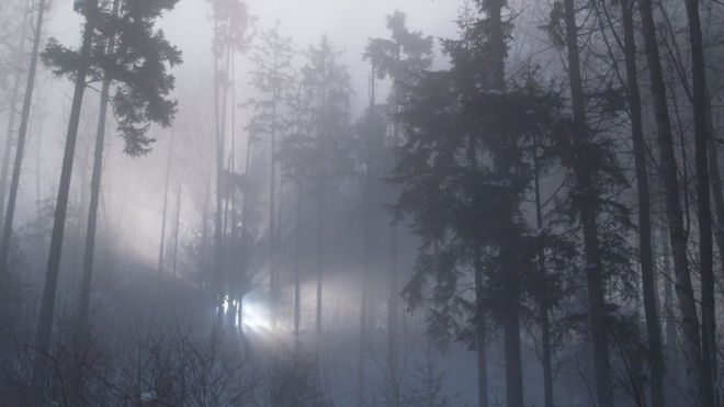 Lights in Rendlesham Forest