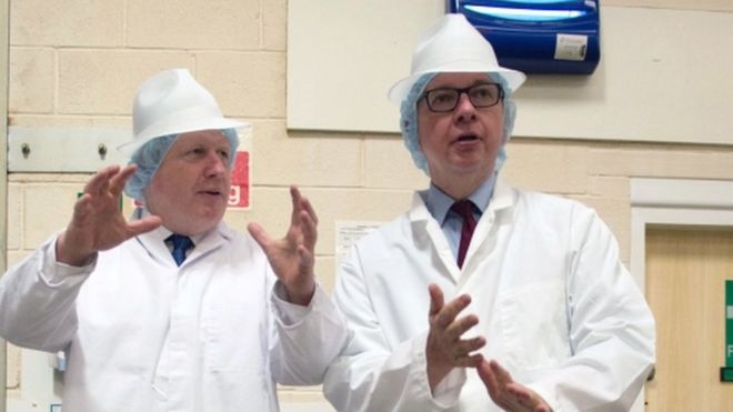 Boris Johnson and Michael Gove