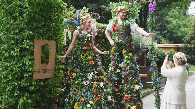 Stilt walkers dressed as hedges