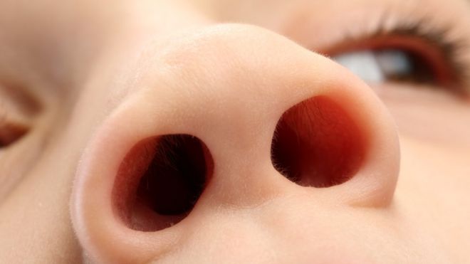 Детский нос
