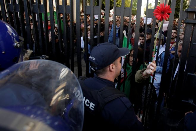 Студентка предлагает цветок полиции, когда она протестует с другими в университетском кампусе против пятого срока Абделазиза Бутефлика в Алжире