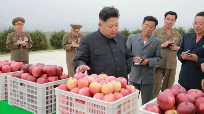 На этом недатированном снимке, опубликованном северокорейским информационным агентством KCNA (Корейское центральное информационное агентство) 18 сентября 2016 года, изображен лидер Северной Кореи Ким Чен Ын, посещающий комбинат по выращиванию фруктов в Косане.