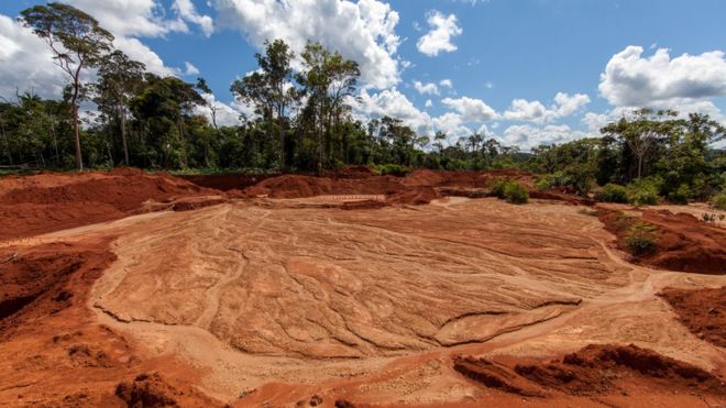 Большие площади леса были вырублены для добычи полезных ископаемых