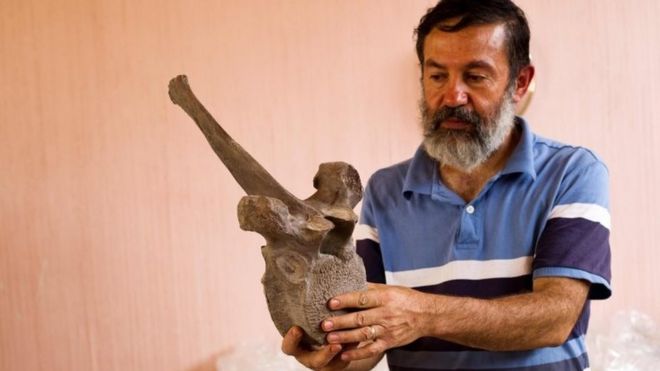 Мексиканский археолог Луис Кордоба показывает позвонок мамонта, обнаруженного в декабре 2015 года в Тультепеке, Мексика, 24 июня 2016 года.