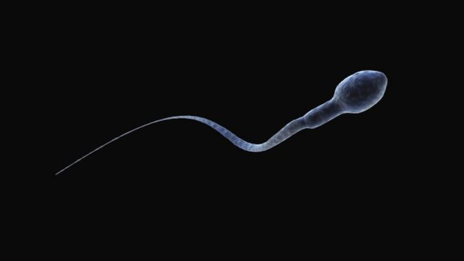 Ilustración de un espermatozoide