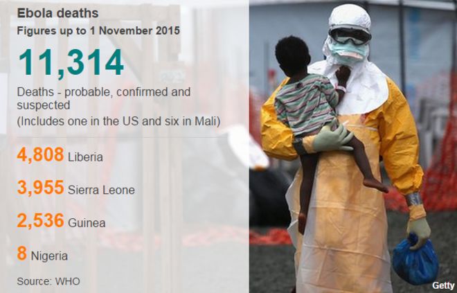 Случаи Эболы 1 ноября
