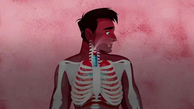 新冠肺炎如何影響我們的身體