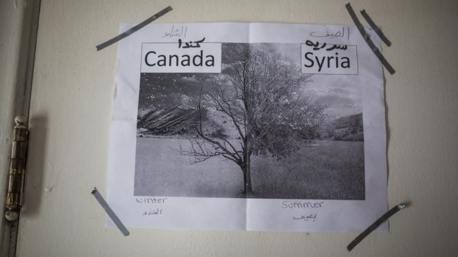 Фотография напечатана и наклеена на стену внутри их временного дома в Пиктоне, Онтарио, Канада, среда, 20 января 2016 года.