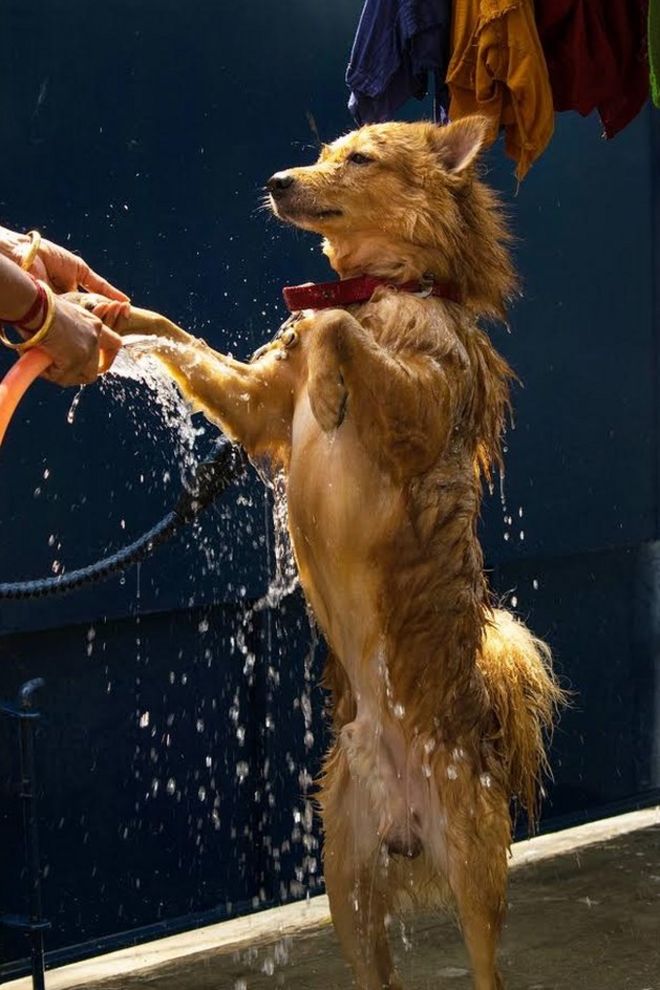 Aravindh Rengaraj, திருச்சி