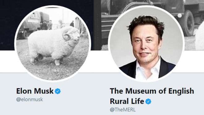 Изображение двух профильных изображений в Твиттере, слева Элон Маск с овцой в качестве его изображения, справа Музей сельской английской жизни с Элоном Маском в качестве его изображения.