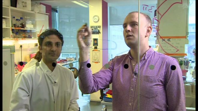 ホーキング博士たち英科学者がEU離脱に反対するわけ