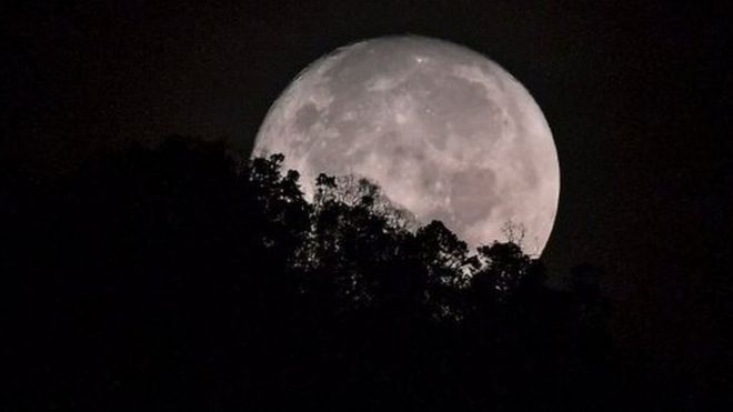 Imagen de la Luna y un árbol