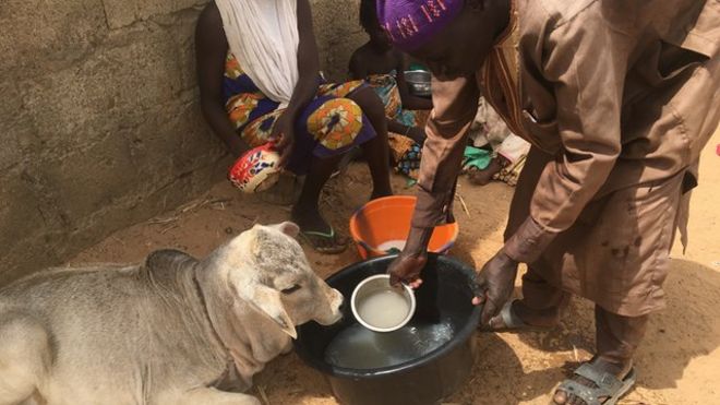 Cold water dey good for body? See wetin Science tok - BBC News Pidgin