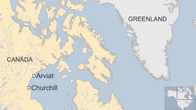 Карта с изображением Арвиата, Черчилля и Гренландии