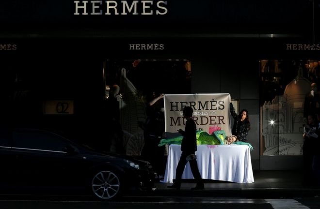 Активист по животным позирует перед магазином Hermes в Сиднее