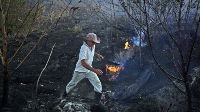 Incendio en el Amazonas.
