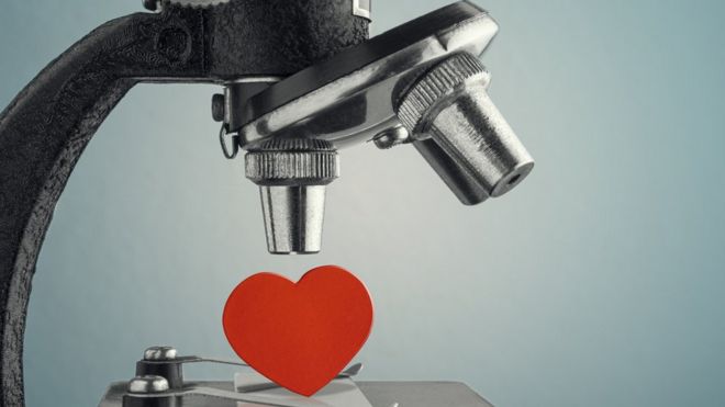 Corazón bajo un microscopio