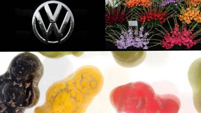 По часовой стрелке: значок VW и гладиолусы - авторское право Getty Images. Jelly Babies, авторские права BBC