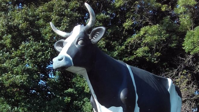 Модель коровы на ферме в штате Висконсин