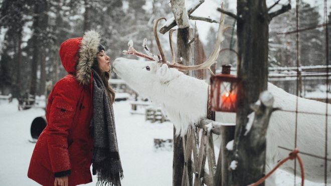 Белый олень и женщина в Финляндии