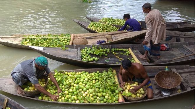 নৌকার ছবি