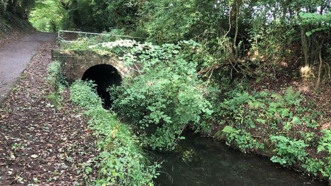Мост заблокирован листвой под каналом на участке каналов Монмутшир и Брекон