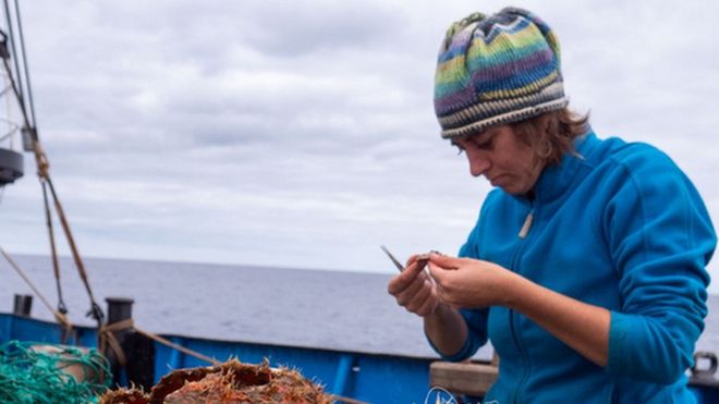 Researcher collecting debris in the Great Pacific Garbage Patch