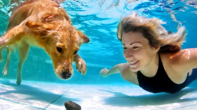 Собака и женщина под водой