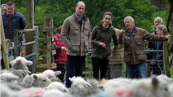 Герцог и герцогиня Кембриджская Дипдейл Холл Фарм, традиционная ферма по выращиванию овец в Паттердейле