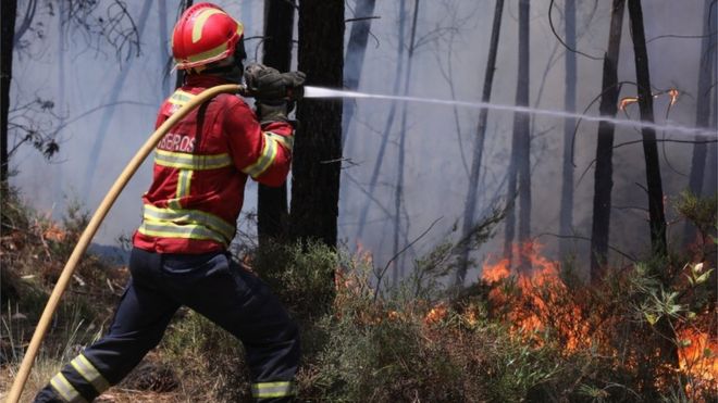 Португальский пожарный использует пожар в Альто-да-Лурисейра, регион Педроньо-Гранде, центральная Португалия, 20 июня 2017 года