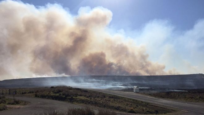 Лесной пожар в Сазерленде