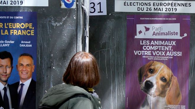 Женщина смотрит на официальные европейские предвыборные плакаты возле избирательного участка в Париже