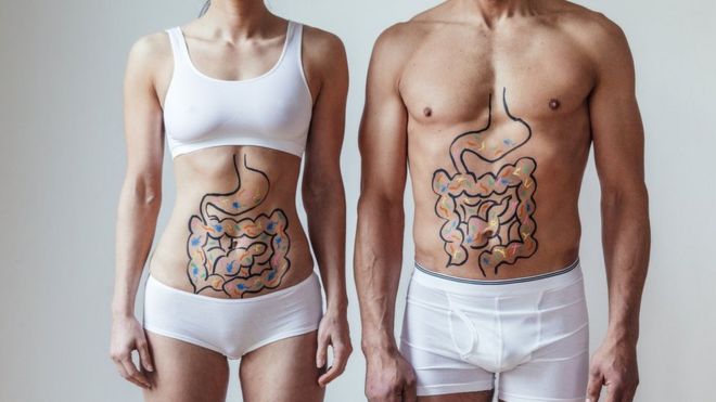 Mujer y hombre en ropa interior con el sistema digestivo dibujado en el cuerpo